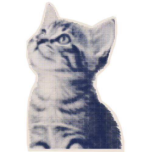 Katia Sobotka @ popkulture - Webdesign et communication